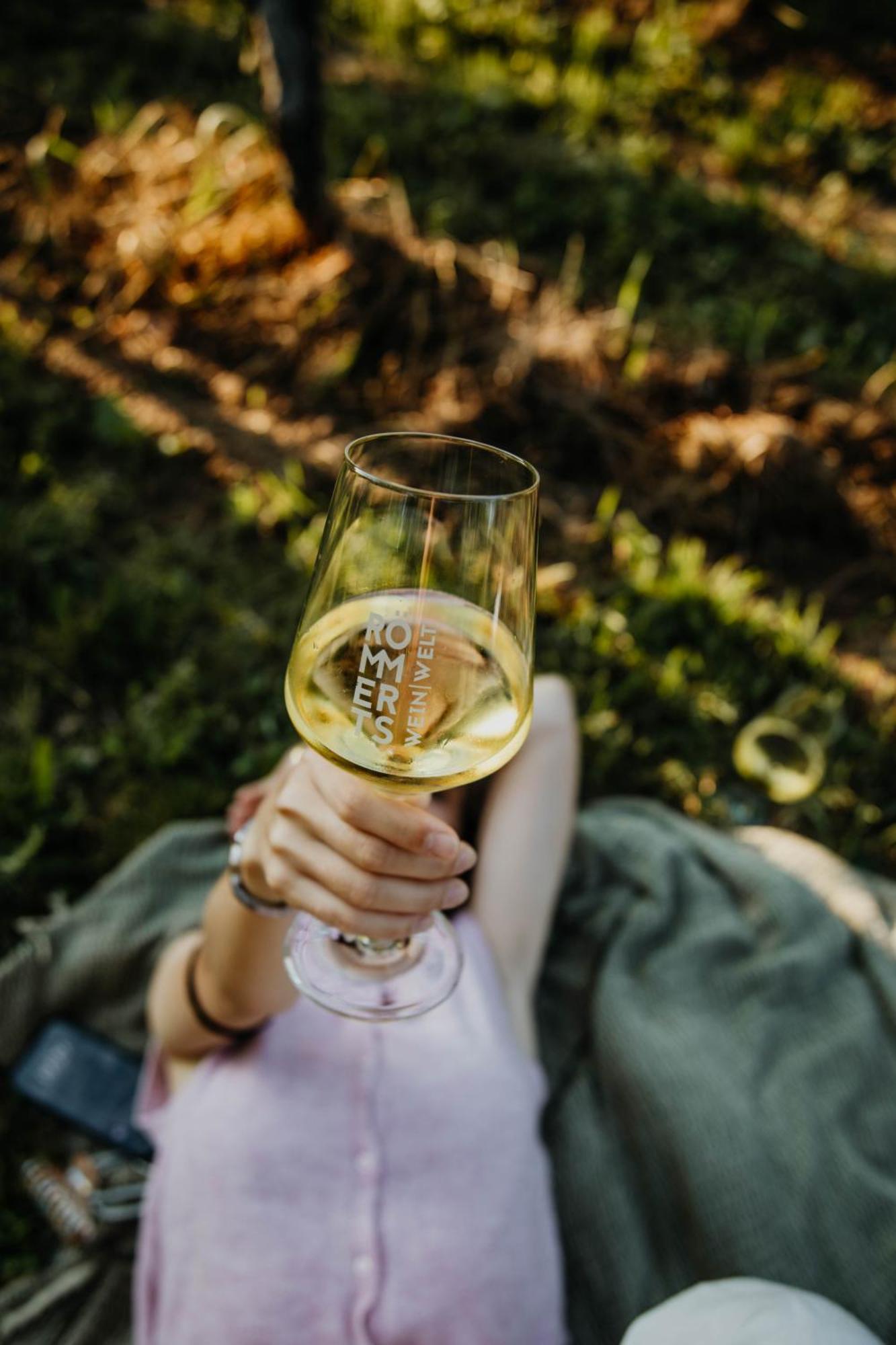 Sonnenhotel Weingut Roemmert Und Wellness Hotel